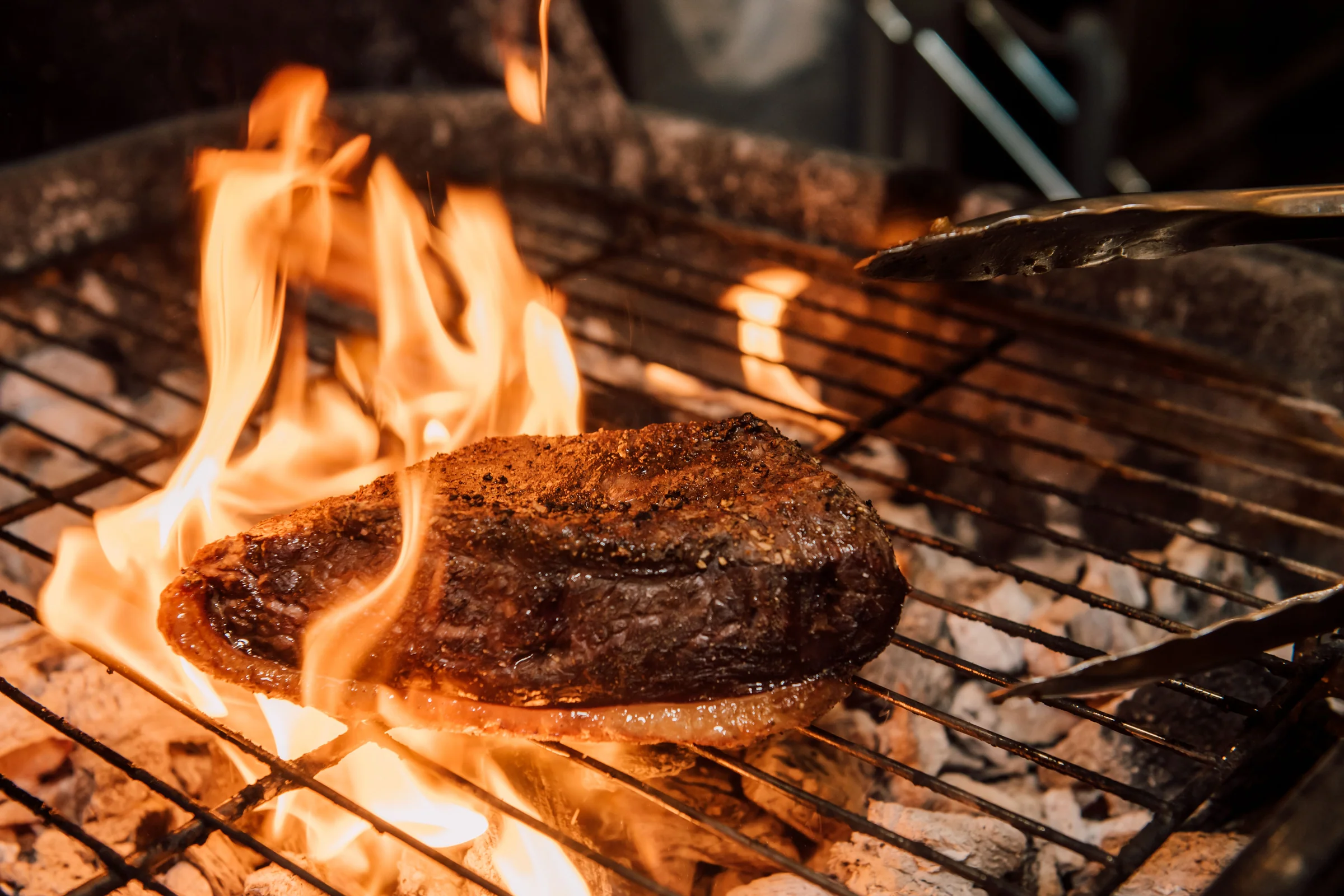 Honest Meat From Montana Soil